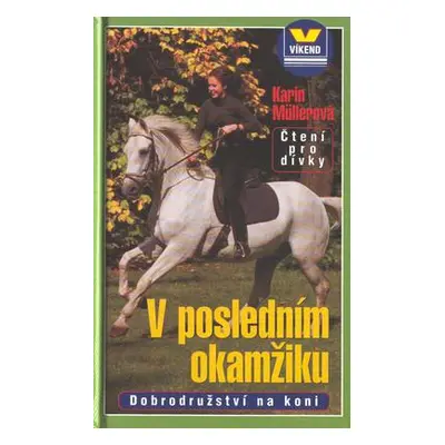 V posledním okamžiku (Karin Müllerová)