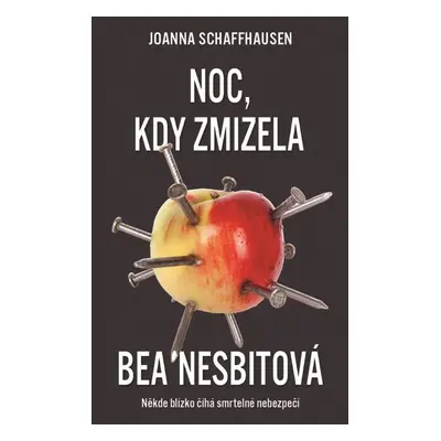 Noc, kdy zmizela Bea Nesbitová (Joanna Schaffhausen)