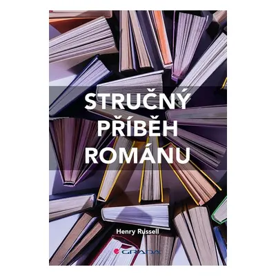 Stručný příběh románu - Průvodce klíčovými žánry, díly, tématy a technikami (Henry Russell)