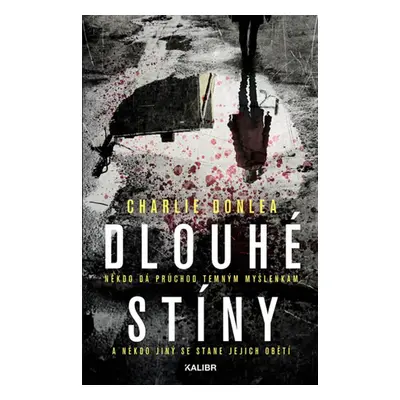 Dlouhé stíny (Charlie Donlea)