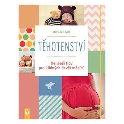 Těhotenství - Nejlepší tipy pro klidných devět měsíců (Birgit Laue)