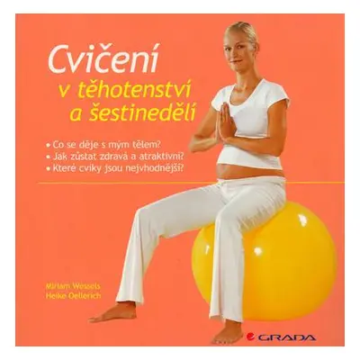 Cvičení v těhotenství a šestinedělí (Miriam Wessels)