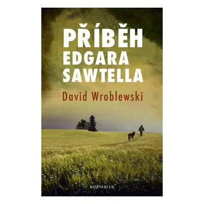 Příběh Edgara Sawtella (Wroblewski David)