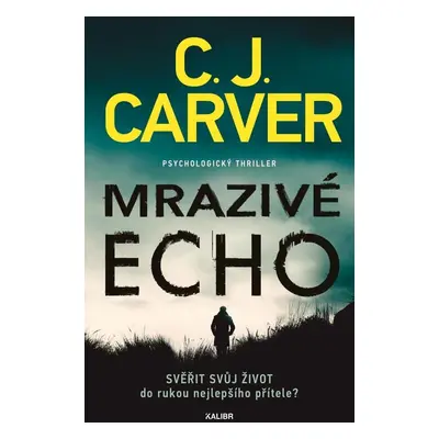 Mrazivé echo - Psycholog Harry Hope (1.díl) (C. J. Carver)