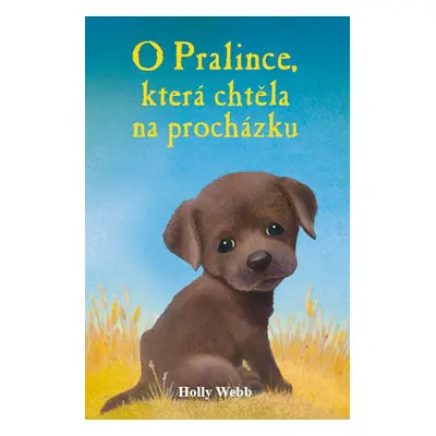 O Pralince, která chtěla na procházku (Holly Webb)