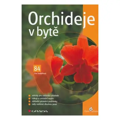 Orchideje v bytě (Eva Sedláčková)