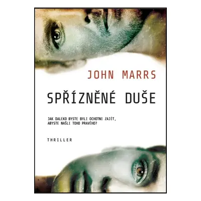 Spřízněné duše (John Marrs)