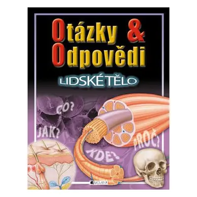 Otázky a odpovědi Lidské tělo (Steve Parker)