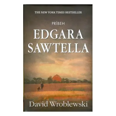 Príbeh Edgara Sawtella (Wroblewski David) (slovensky)