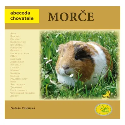 Morče - Abeceda chovatele (Nataša Velenská)