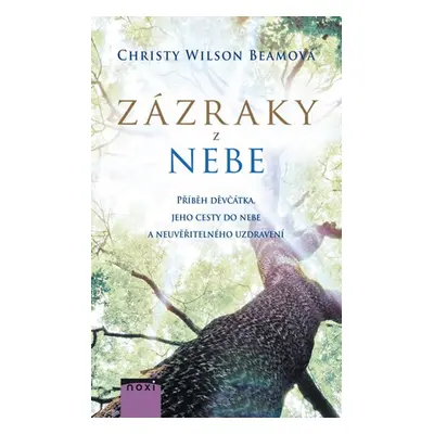 Zázraky z nebe (Christy Wilson Beam)