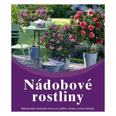 Nádobové rostliny (Maria Sansoni-Köchel)