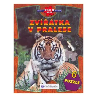 Zvířátka v pralese (Kapic Tomáš)