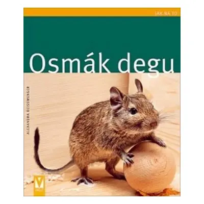 Osmák degu (Beisswenger Alexandra)