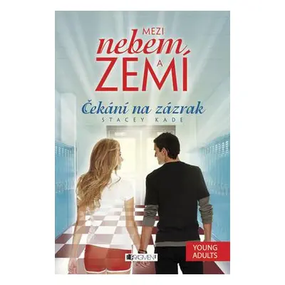 Mezi nebem a zemí – Čekání na zázrak (Stacey Kade)