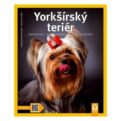 Yorkšírský teriér (Armin Kriechbaumer)