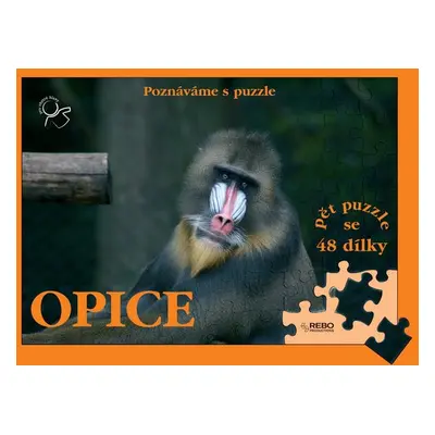 Opice (Kohoutová Šárka)