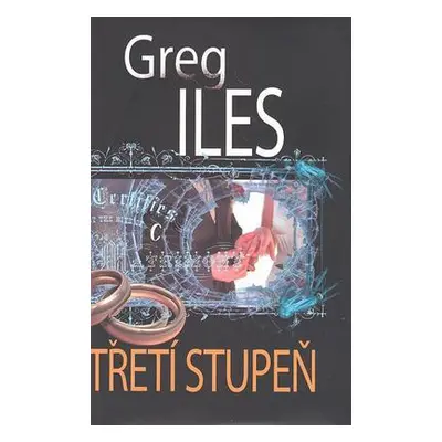 Třetí stupeň (Greg Iles)