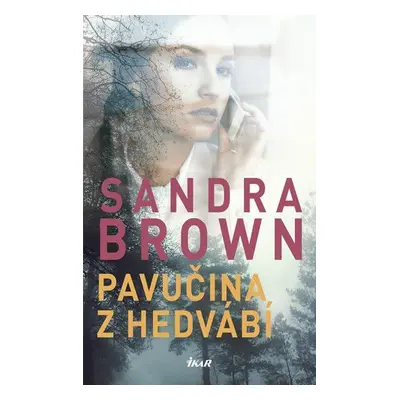 Pavučina z hedvábí (Sandra Brown)