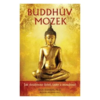 Buddhův mozek (Stephen Hanson)