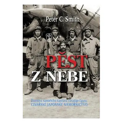 Pěst z nebe (Peter.C. Smith)