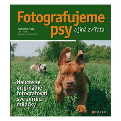 Fotografujeme psy - Antonín Malý (Malý Antonín)