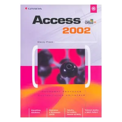 Access 2002 (Slavoj Písek)