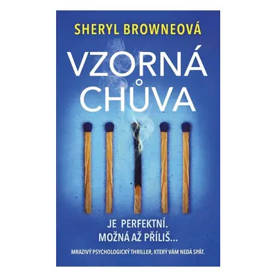 Vzorná chůva (Sheryl Browne)