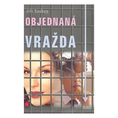 Objednaná vražda (Jiří Soukup)