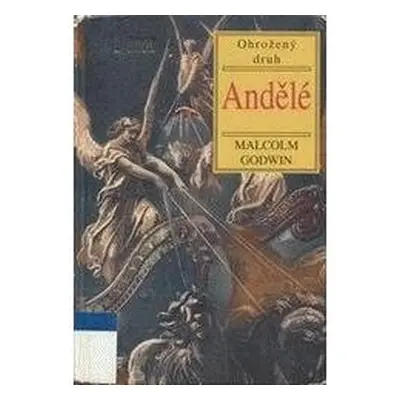 Andělé (Godwin Malcolm)