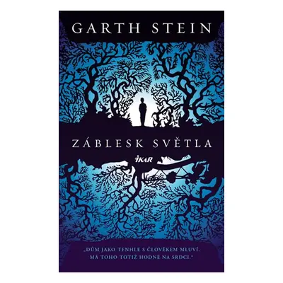 Záblesk světla (Garth Stein)