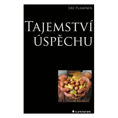 Tajemství úspěchu (Jiří Plamínek)