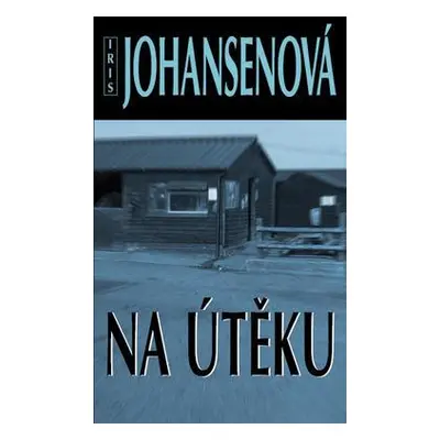 Na útěku (Iris Johansenová)