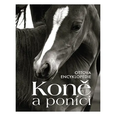 Ottova encyklopedie Koně a poníci