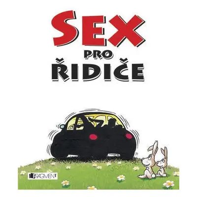 Sex pro řidiče (Daniel Mayer)