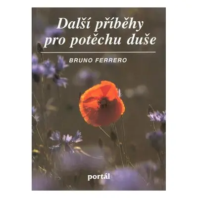 Další příběhy pro potěchu duše (Bruno Ferrero)