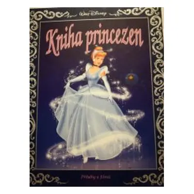 Kniha princezen (Ann Braybrooks)