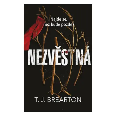 Nezvěstná (T. J. Brearton)