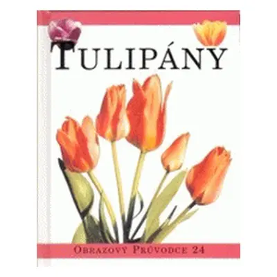 Tulipány