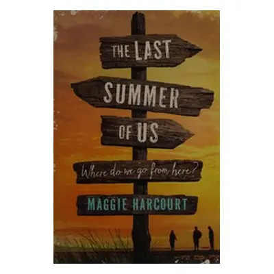 The Last Summer of Us (Maggie Harcourt) (EN)