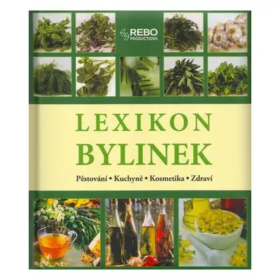 Lexikon bylinek (Andrea Rausch,Brigitte Lotz)