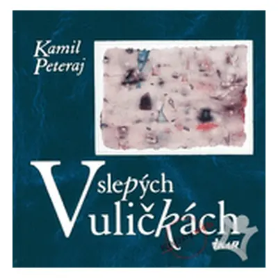 V slepých uličkách (Kamil Peteraj)