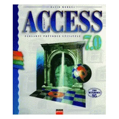 Microsoft Access 7.0 (David Morkes)