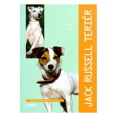 Jack Russel teriér (Esther Verhoef-Verhallen)