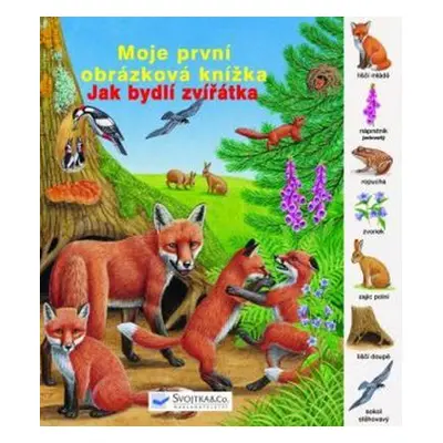 Jak bydlí zvířatka (Dagmar Steidlová)