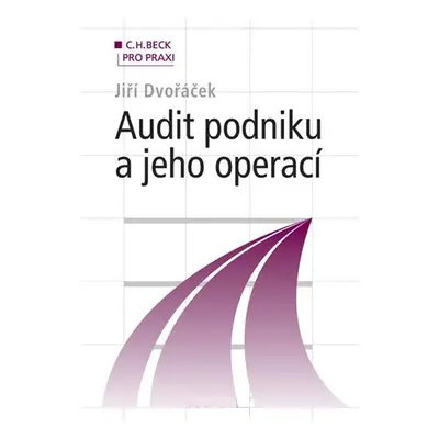 Audit podniku a jeho operací (Jiří Dvořáček)