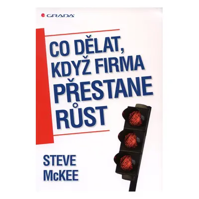 Co dělat, když firma přestane růst (Steve McKee)