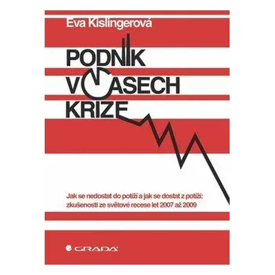 Podnik v časech krize (Eva Kislingerová)