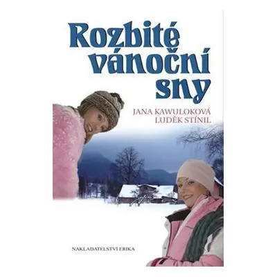 Rozbité vánoční sny (Luděk Stínil)