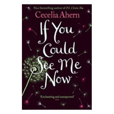 If You Could See Me Now (Cecelia Ahern) (EN)